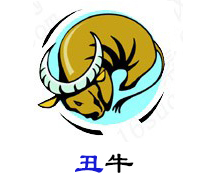 2019年运程,12生肖运势,2019年生肖运势,2019年生肖吉凶,2019年生肖吉祥物,大易开运