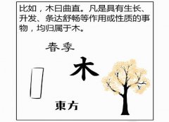 董易姗起名：五行缺木怎么起名改名？